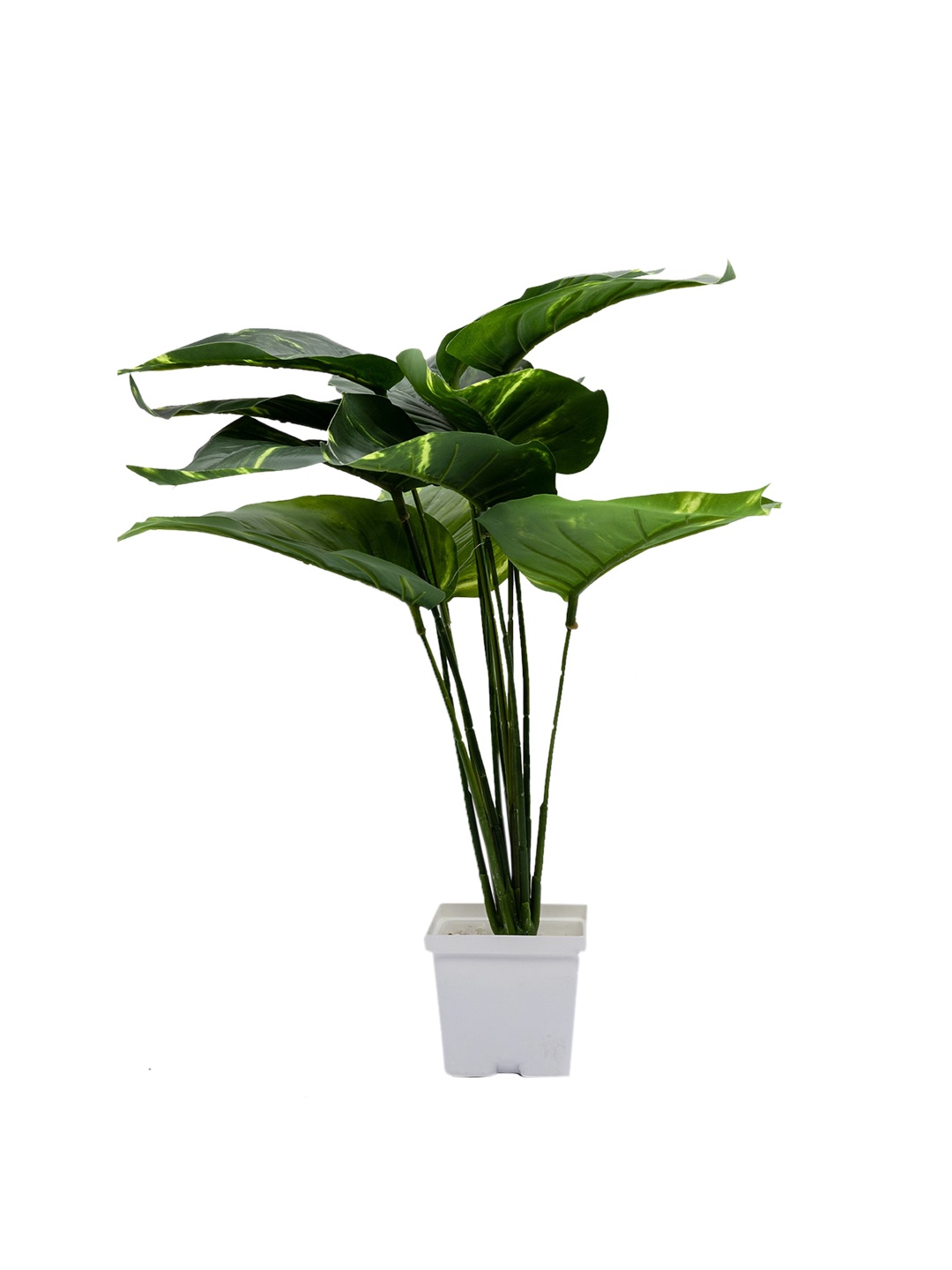 

MARKET99 Green Croton Artificial Plant With Pot