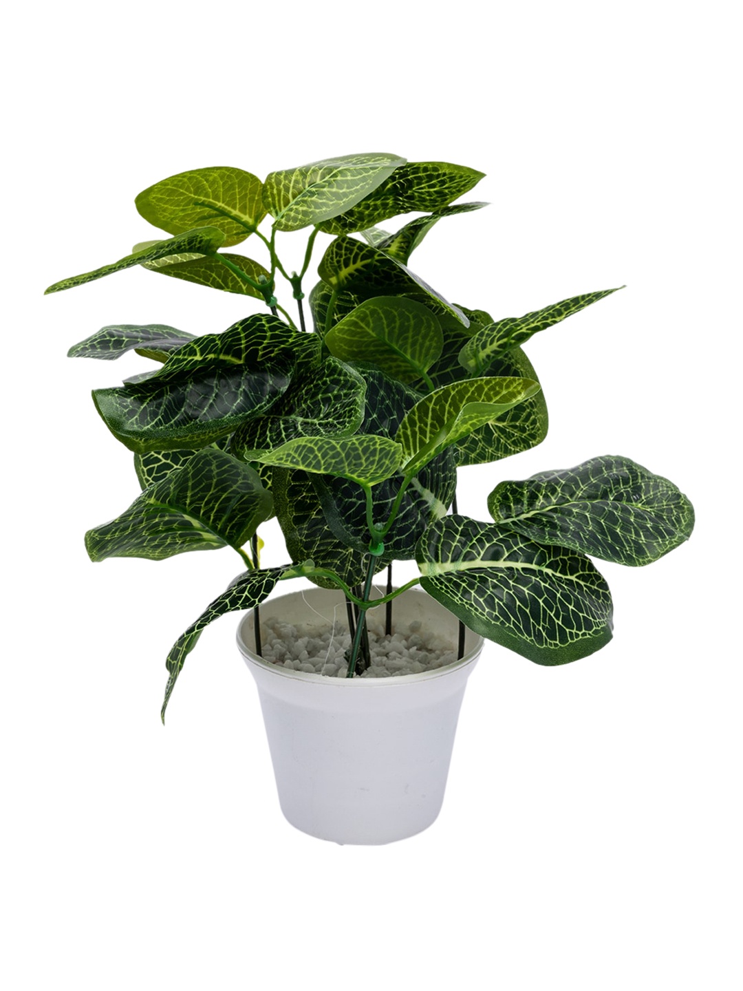 MARKET99 Green & White Artificial Plant With Pot