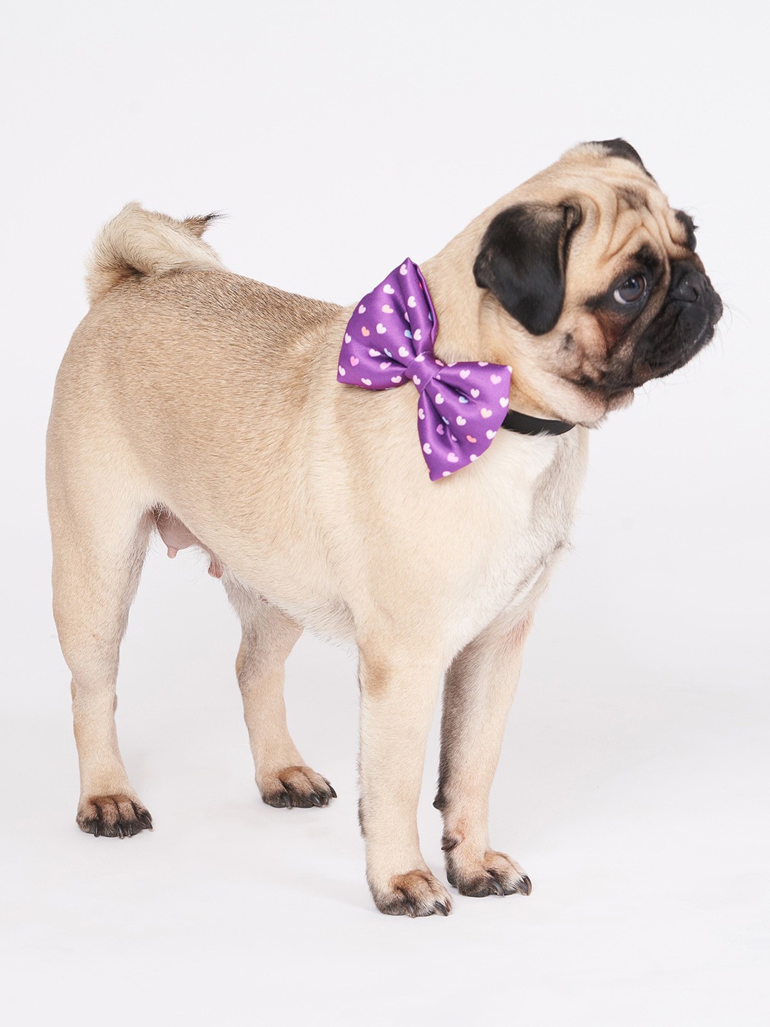 

Thepawpstarco Dogs Purple Hearts Printed Satin Bow Tie