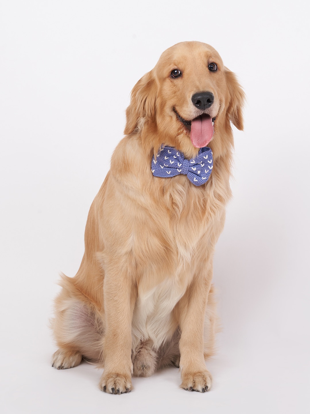

thepawpstarco Little Hearts Blue Crochet Dog Bow Tie