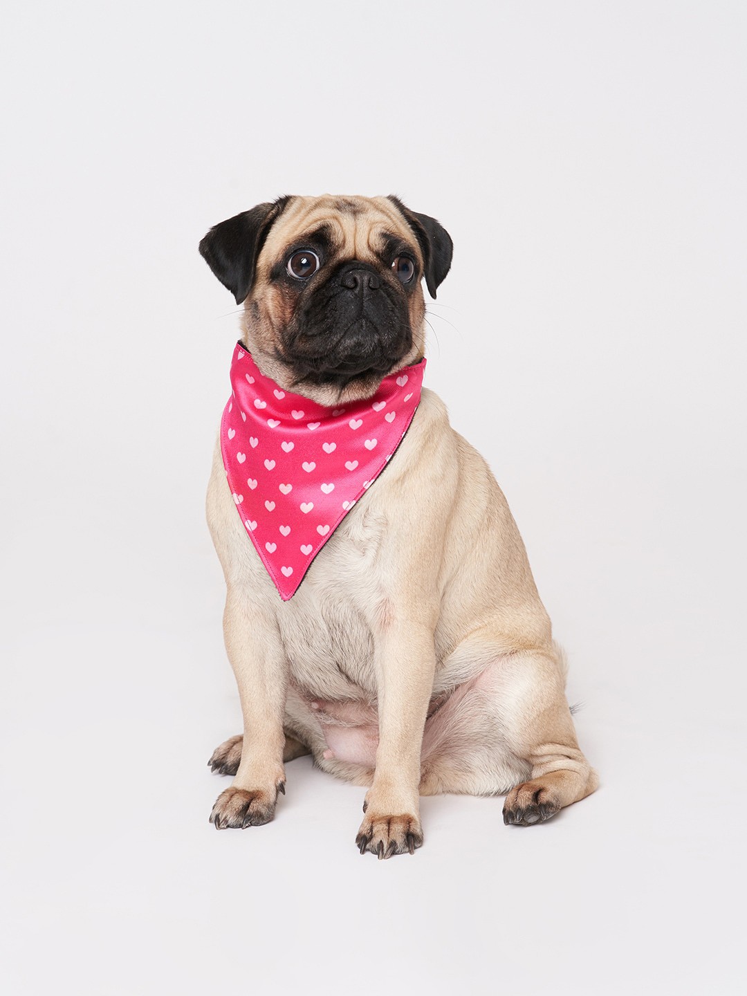 

thepawpstarco Pink Printed Bandana
