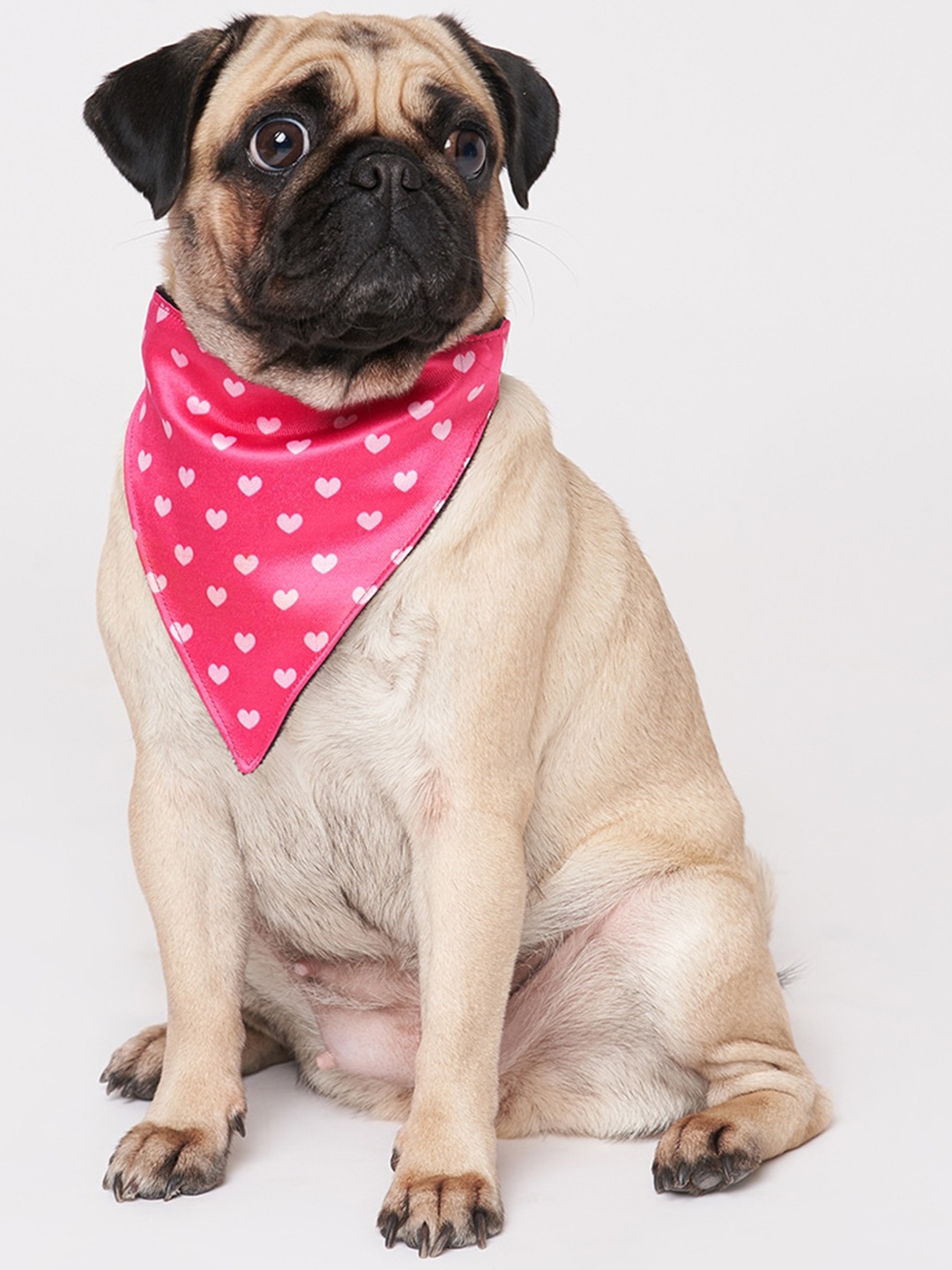 

thepawpstarco Pink & Black Printed Pet Bandana