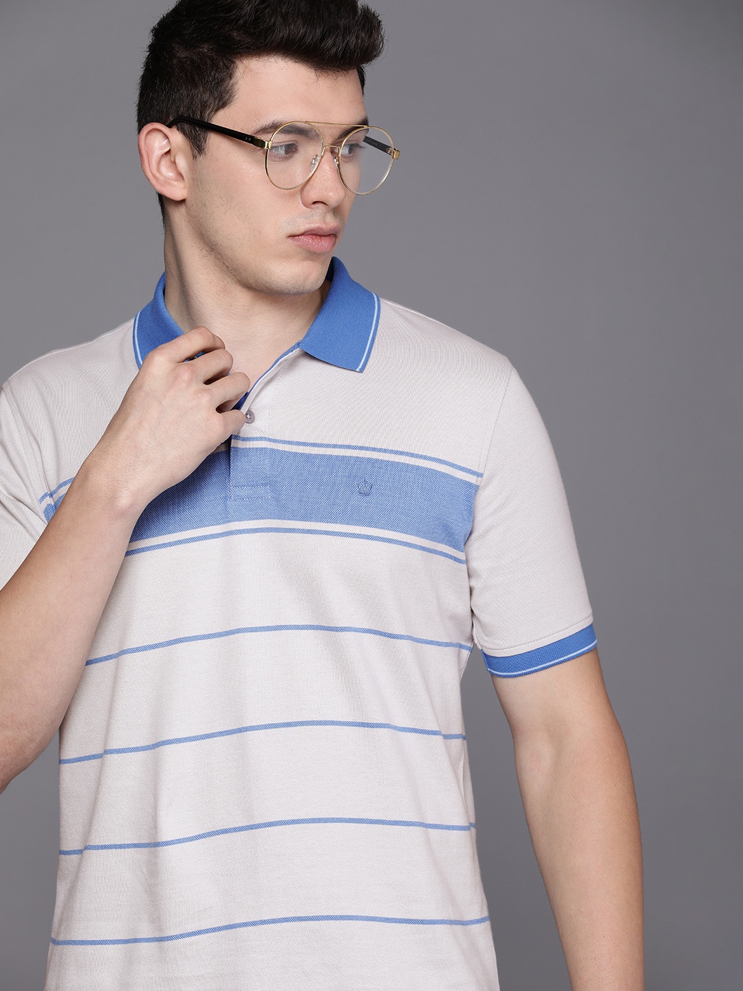 

Louis Philippe Men Grey & Blue Striped Polo Collar Pure Cotton T-shirt