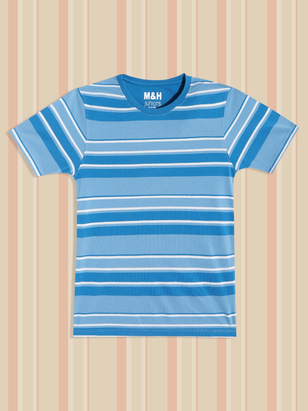 

M&H Juniors Boys Blue & White Striped T-shirt