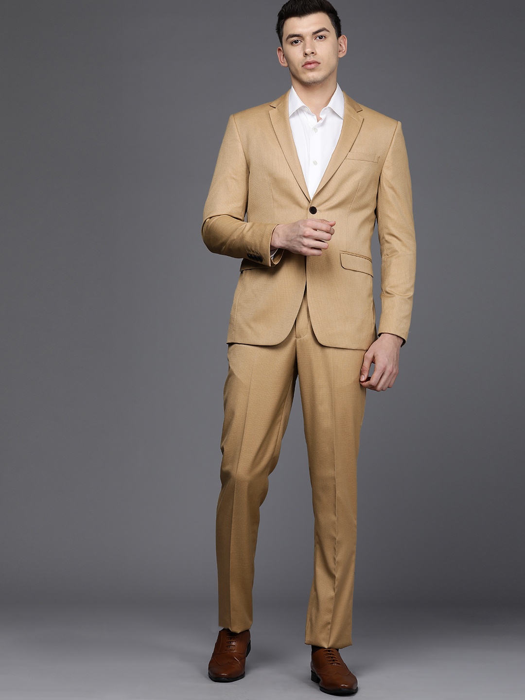 

Louis Philippe Men Beige Slim Fit 2-Piece Formal Suit
