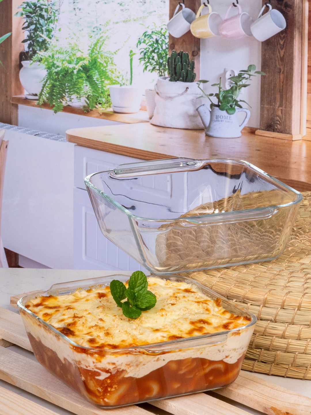 

Roxx Set Of 2 Transparent Solid Glass Baking Square Dish