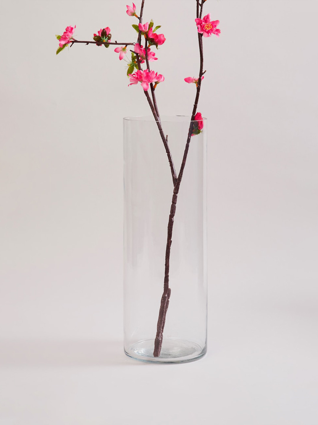 

Home Centre Transparent Cylindrical Vase