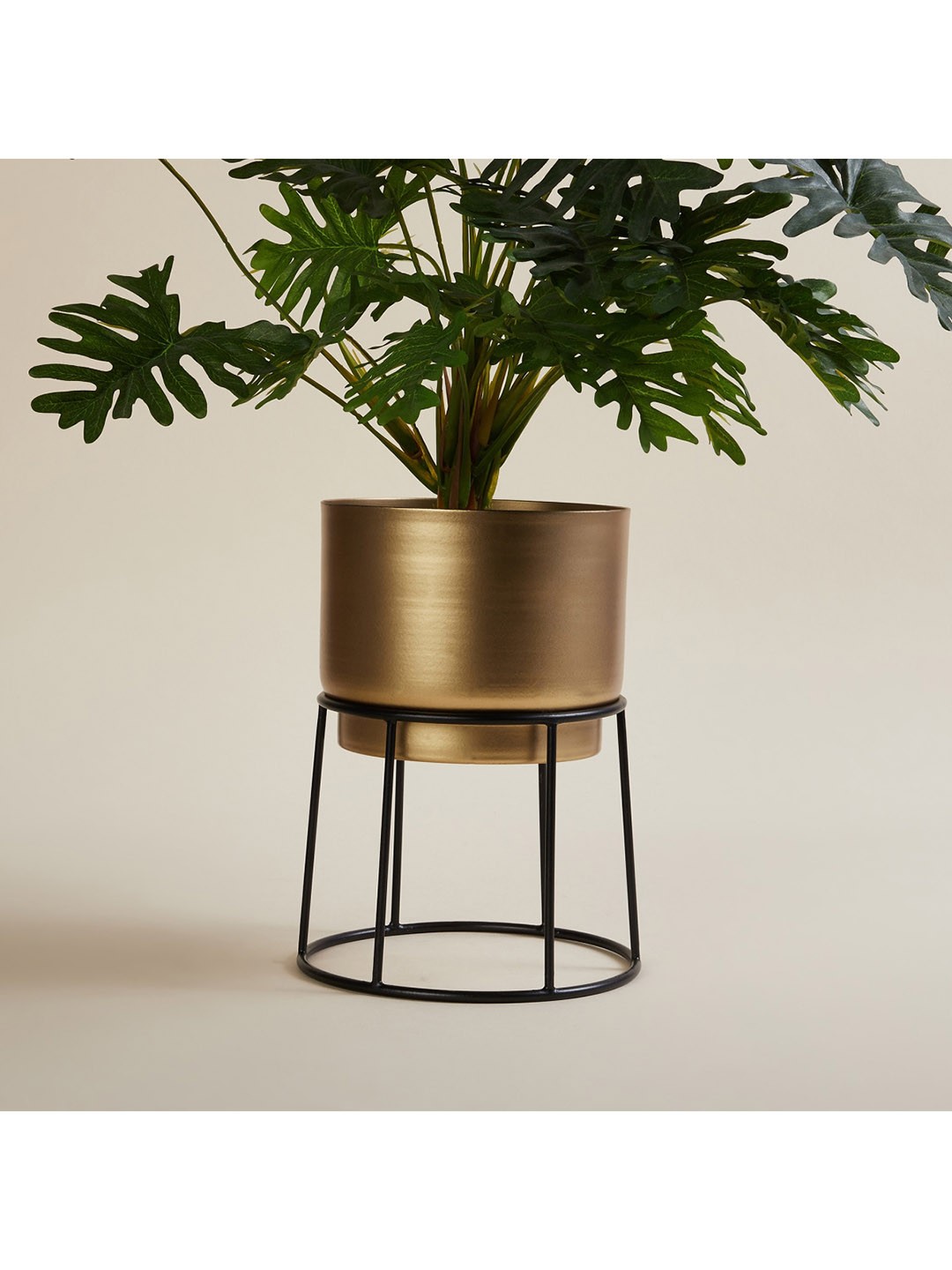 

Home Centre Gold-Coloured Solid Planter With Stand