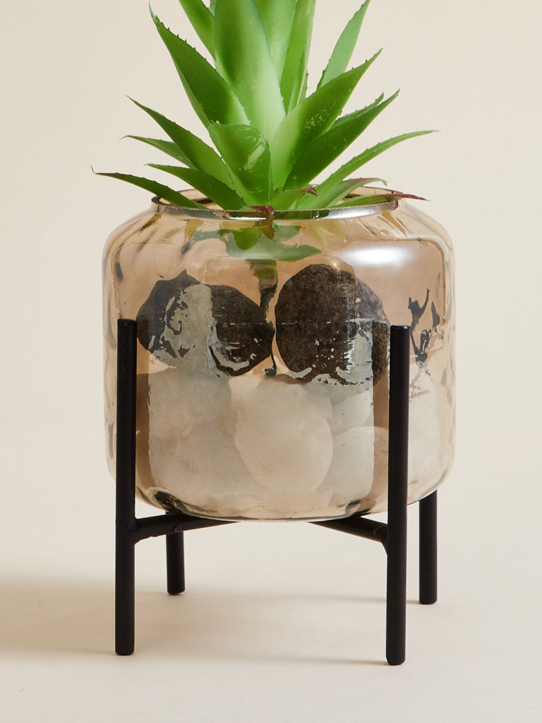 

Home Centre Transparent Valencia Smoke Hammered Glass Planter With Stand