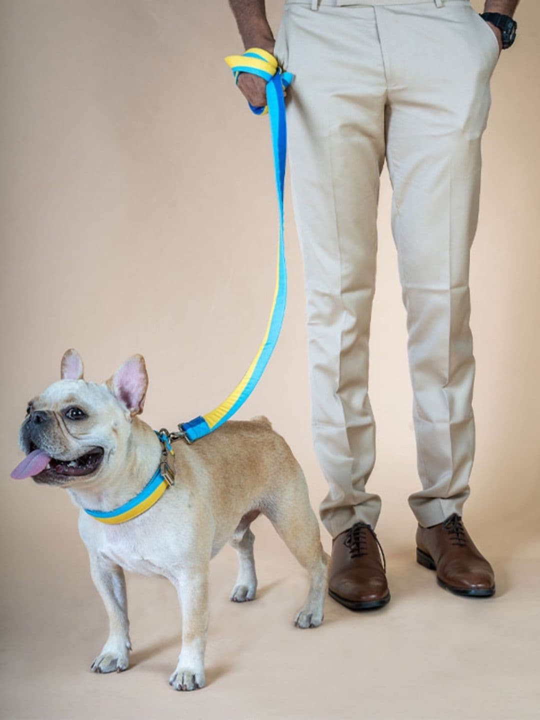 

thepawpstarco Blue & Yellow Striped Nylon Pet Leash