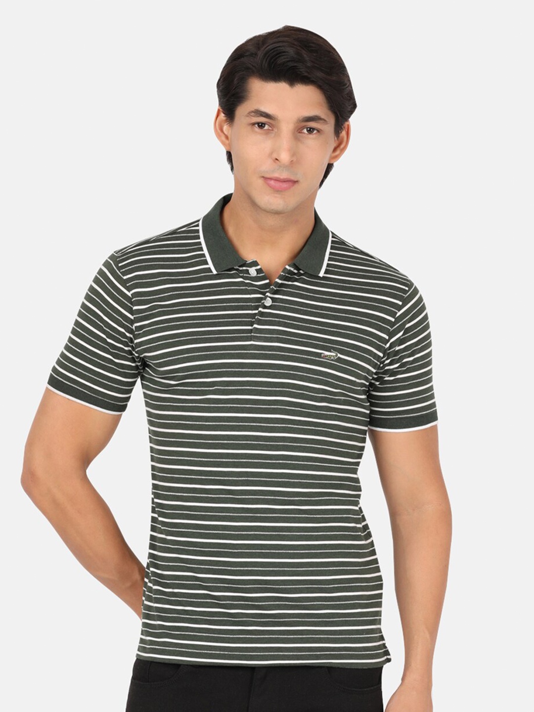 

Crocodile Men Olive Green & White Striped Polo Collar Slim Fit Cotton T-shirt