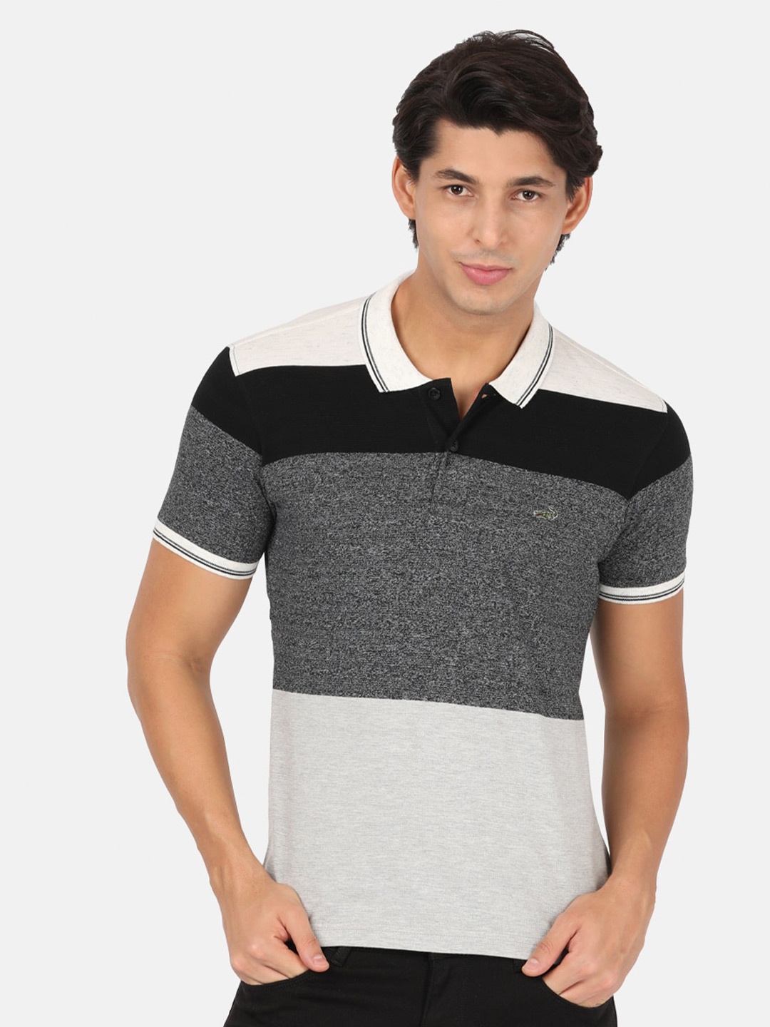 

Crocodile Men Charcoal & White Colourblocked Polo Collar Slim Fit T-shirt