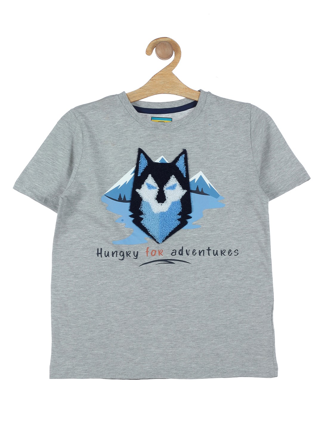 

Lil Lollipop Kids Grey Printed T-shirt