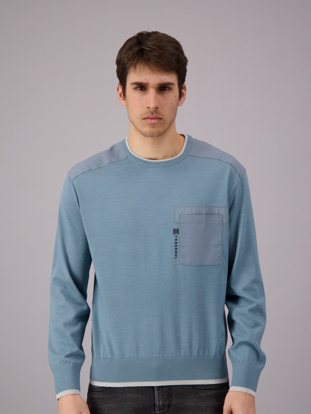 

FREESOUL Men Blue Pullover