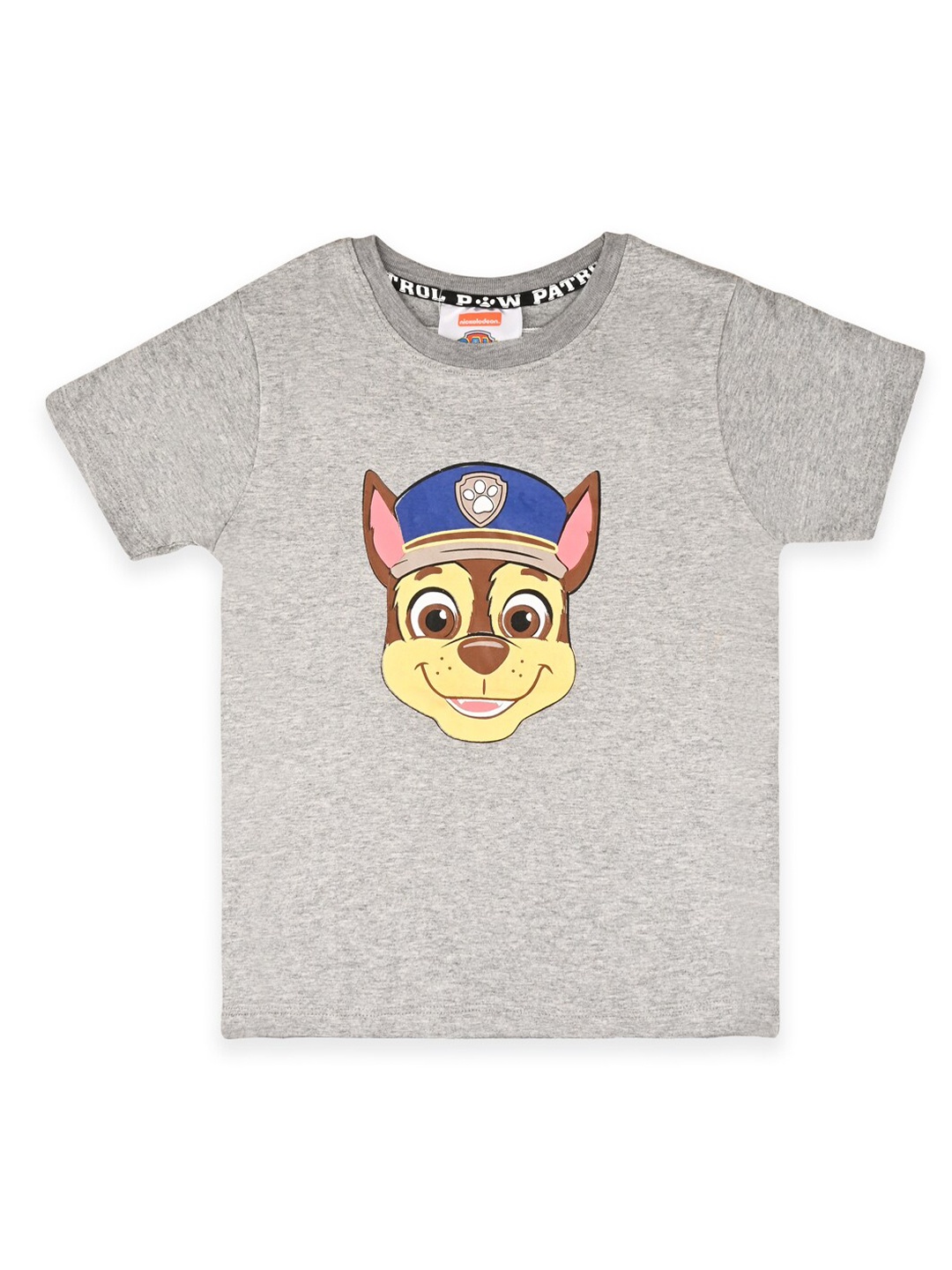PAW PATROL Boys Grey Printed Bio Finish T-shirt
