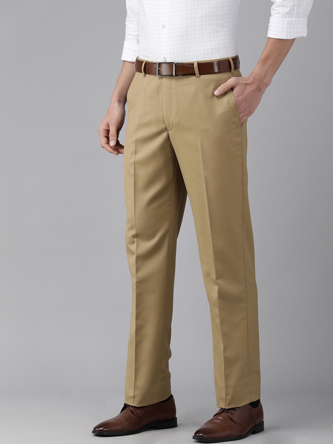 

Park Avenue Men Beige Self Designed Mid Rise Regular Fit Formal Trousers