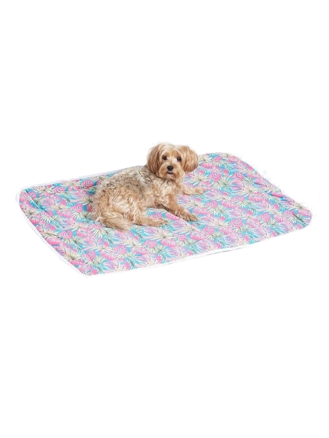 

thepawpstarco Kids Pink & Blue Printed Pet Mat