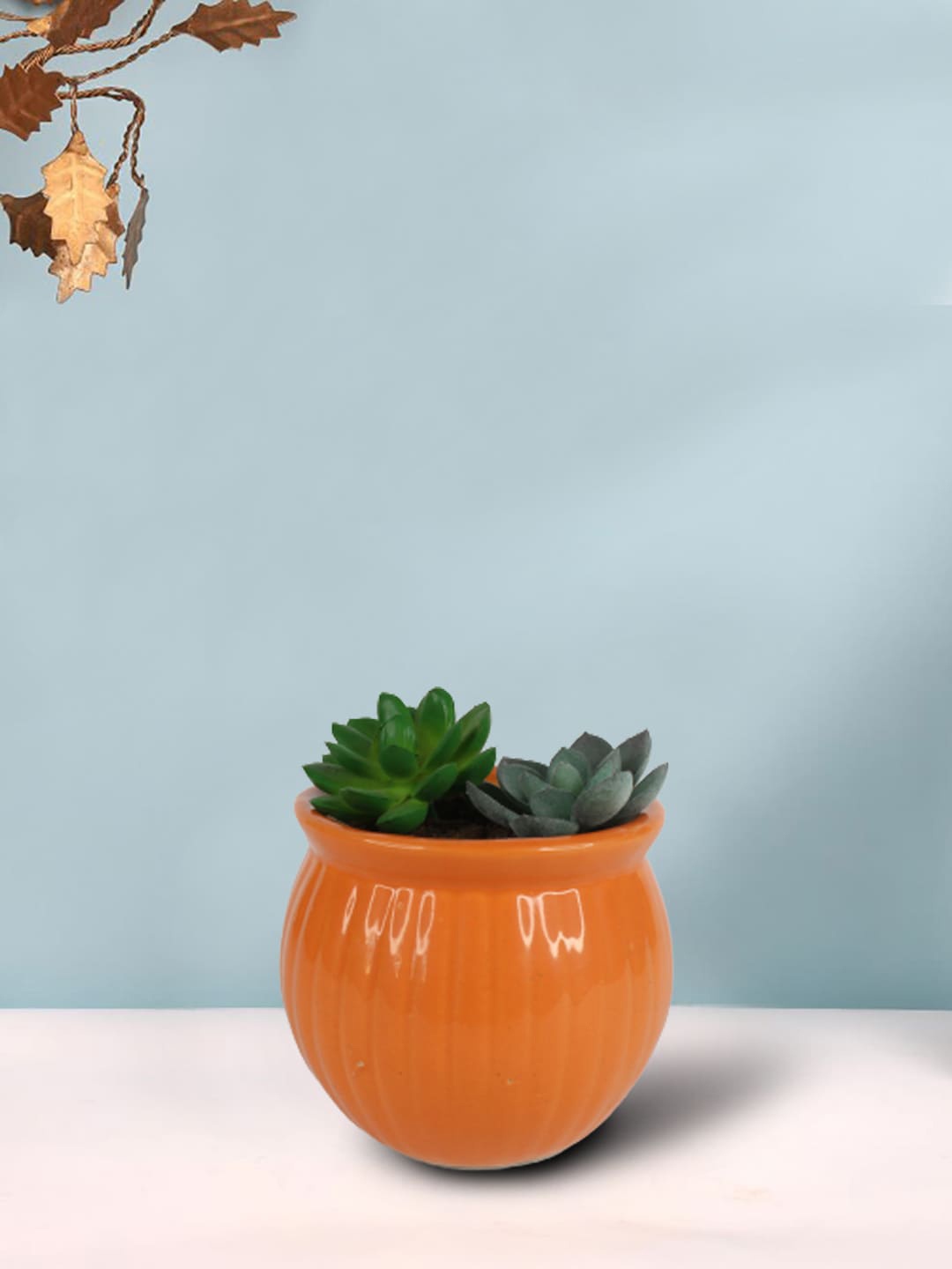 

Wonderland Orange Ceramic Flower Pot