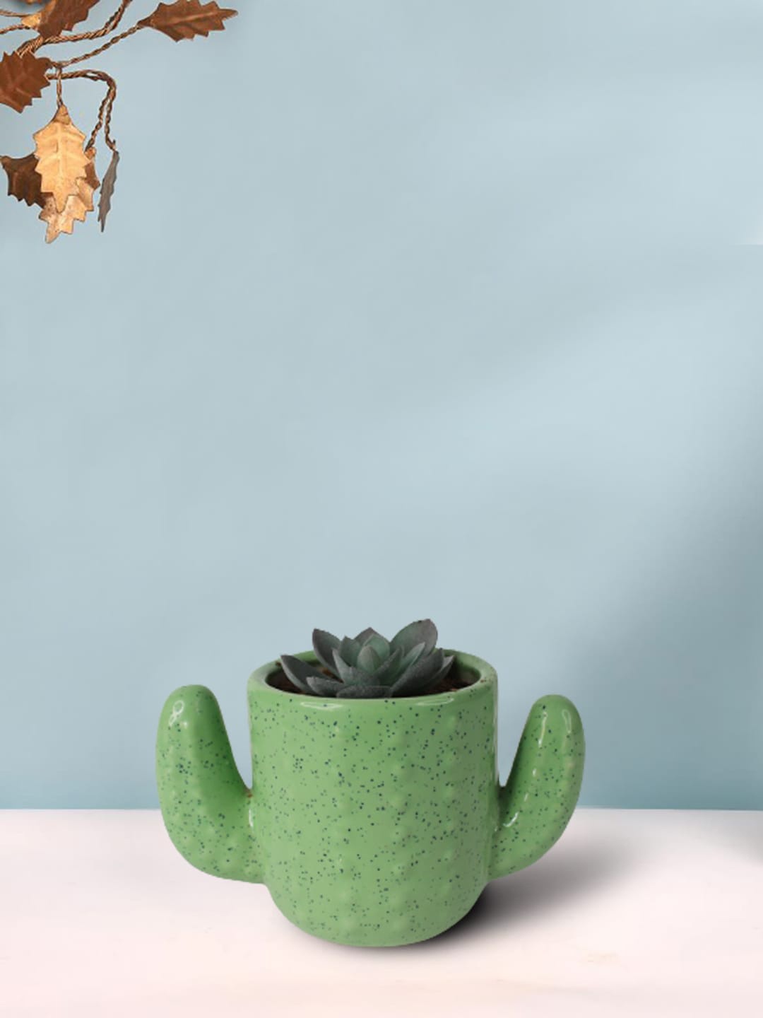 

Wonderland Green Printed Ceramic Dotted Cactus Flower Pot