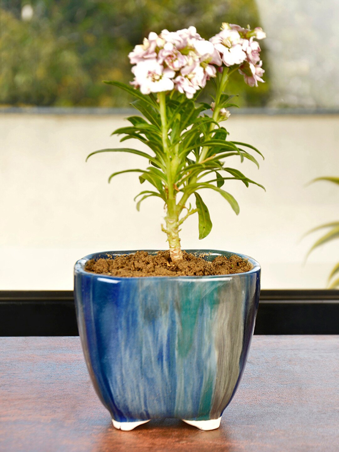 

StyleMyWay Blue & Green Fluid Art Ceramic Planter Pot