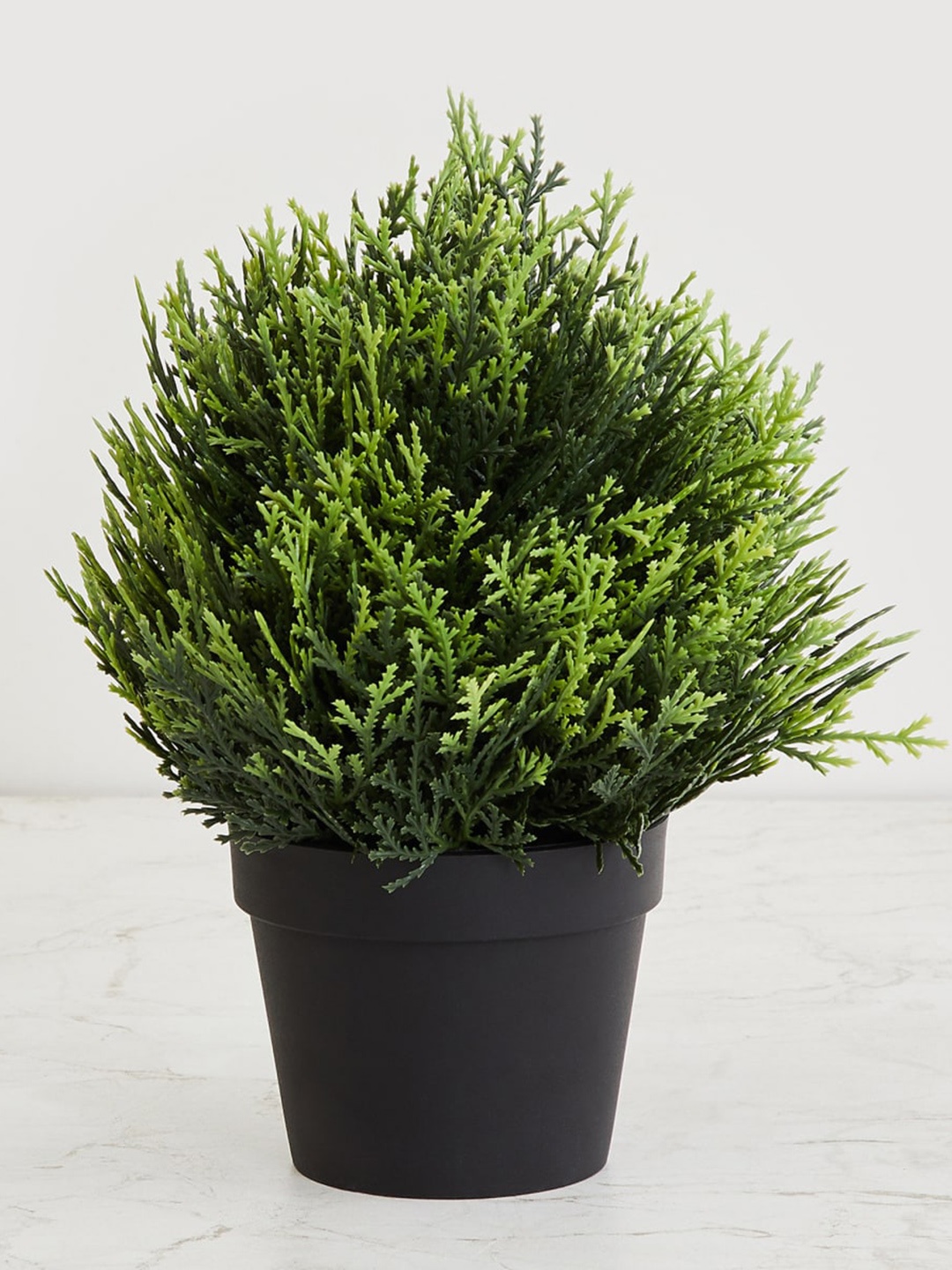 

Home Centre Green & Black Artificial Bonsai In Plastic Pot