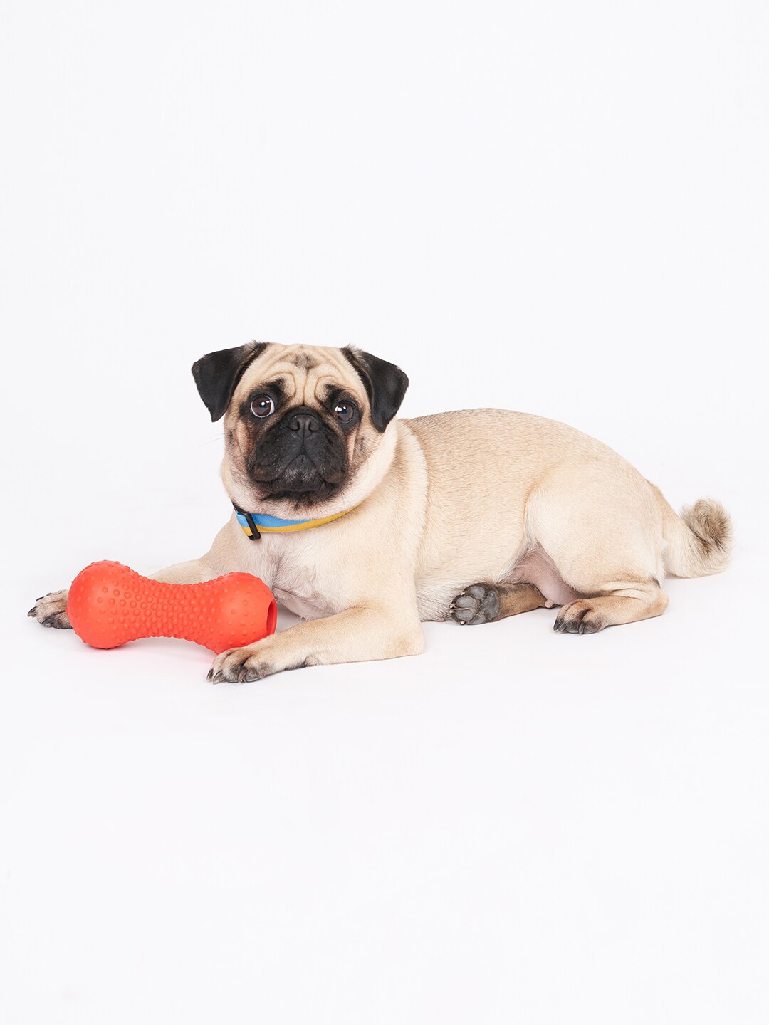 

thepawpstarco Red The Dotty Pet Chew Toy