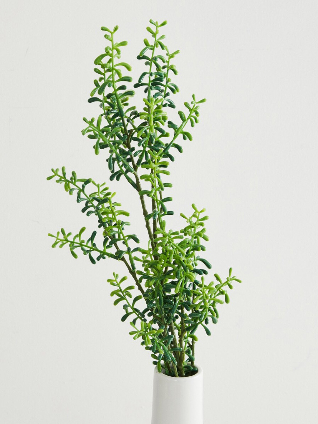 

Home Centre Green Artificial Plant