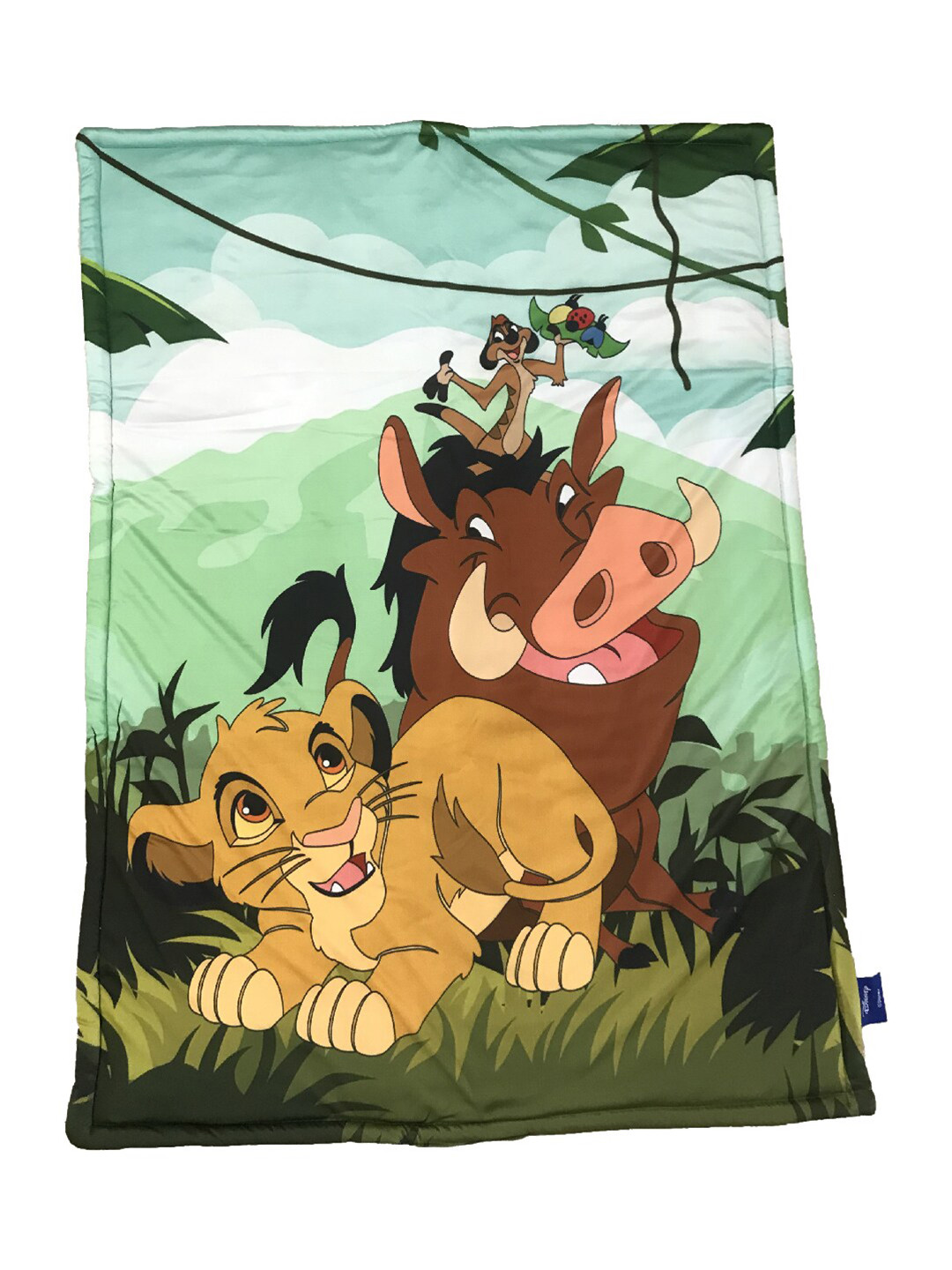 

Disney Green & Brown Cartoon Characters AC Room 110 GSM Single Bed Quilt