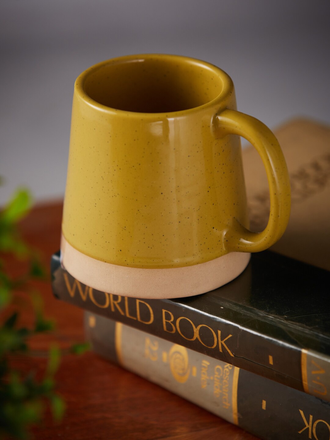 

Fabindia Mustard Yellow Dishwasher Safe Stoneware Glossy Mug 250 ml