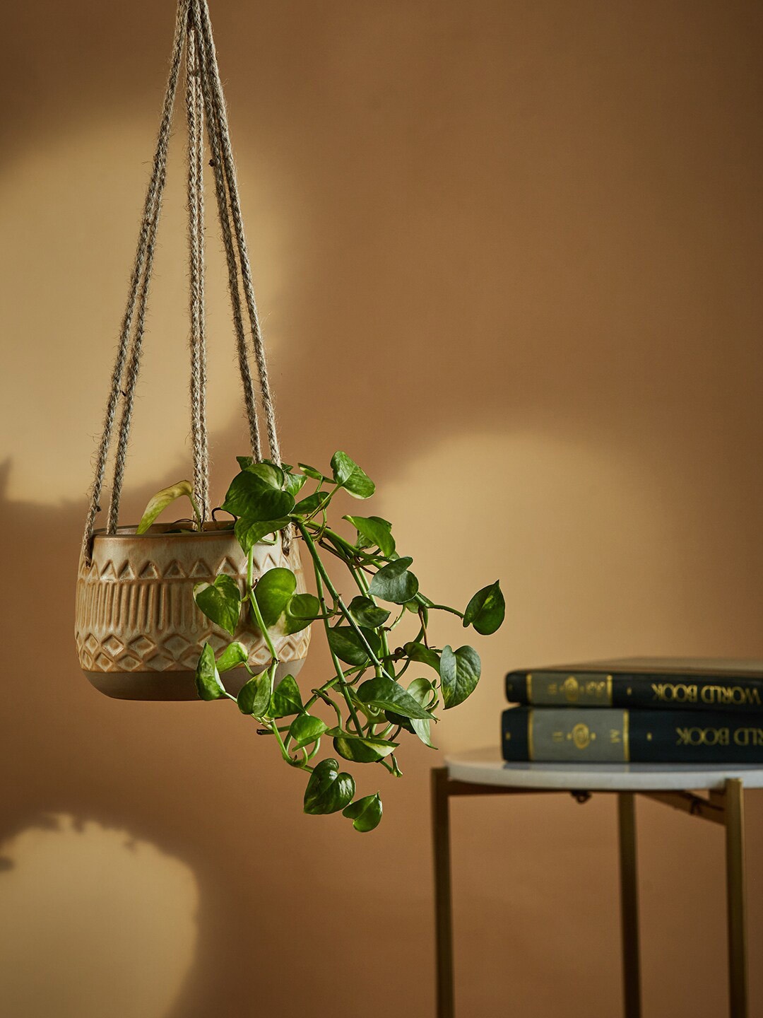 

Fabindia Unisex Yellow Textured Hanging Planters