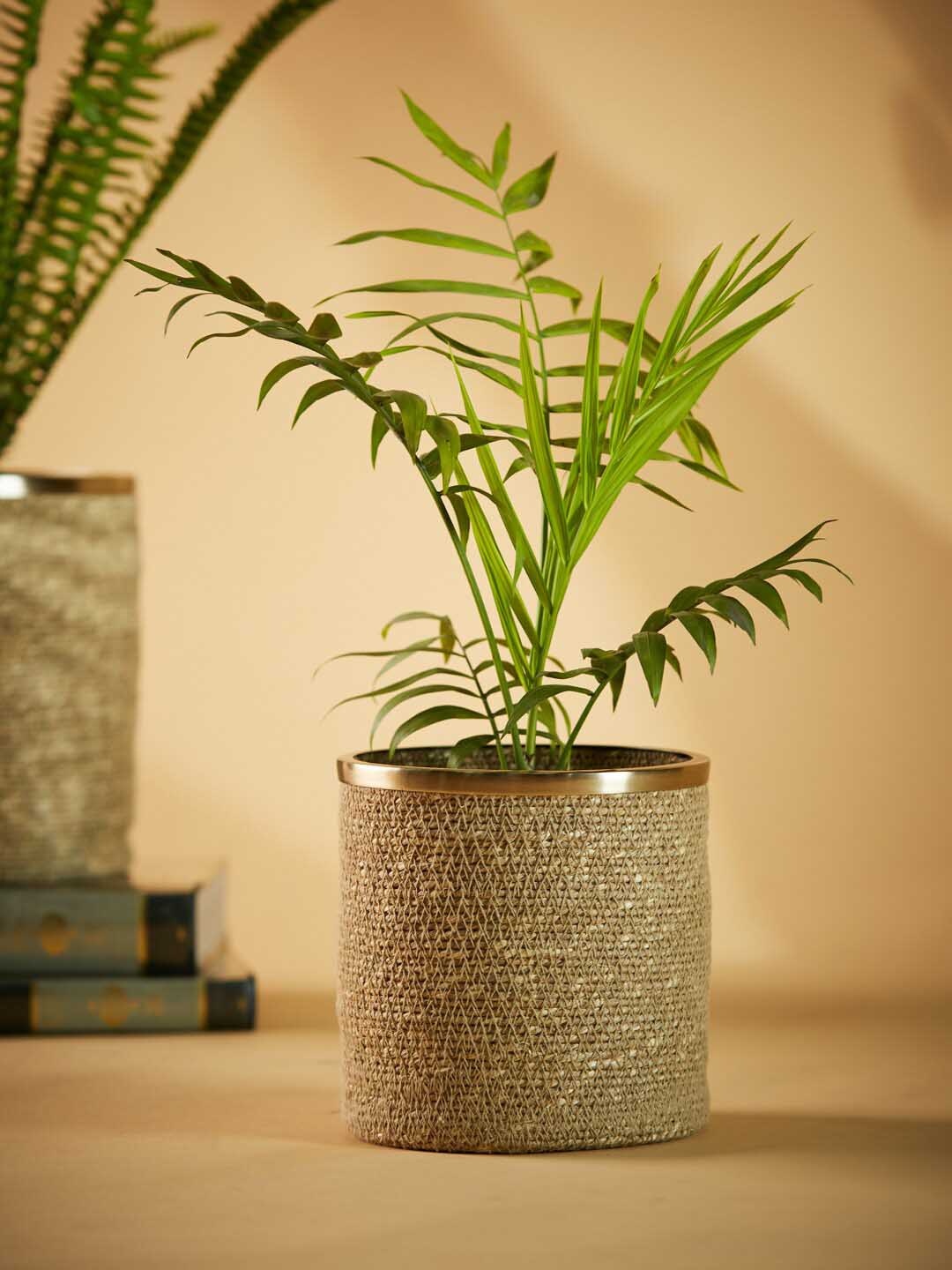 

Fabindia Gold-toned Solid Vardaniya Nat Planter With Stand