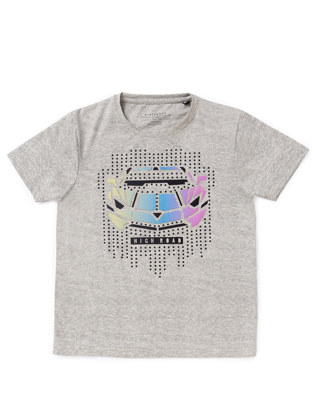 

Status Quo Boys Grey Graphic Printed Regular T-shirt