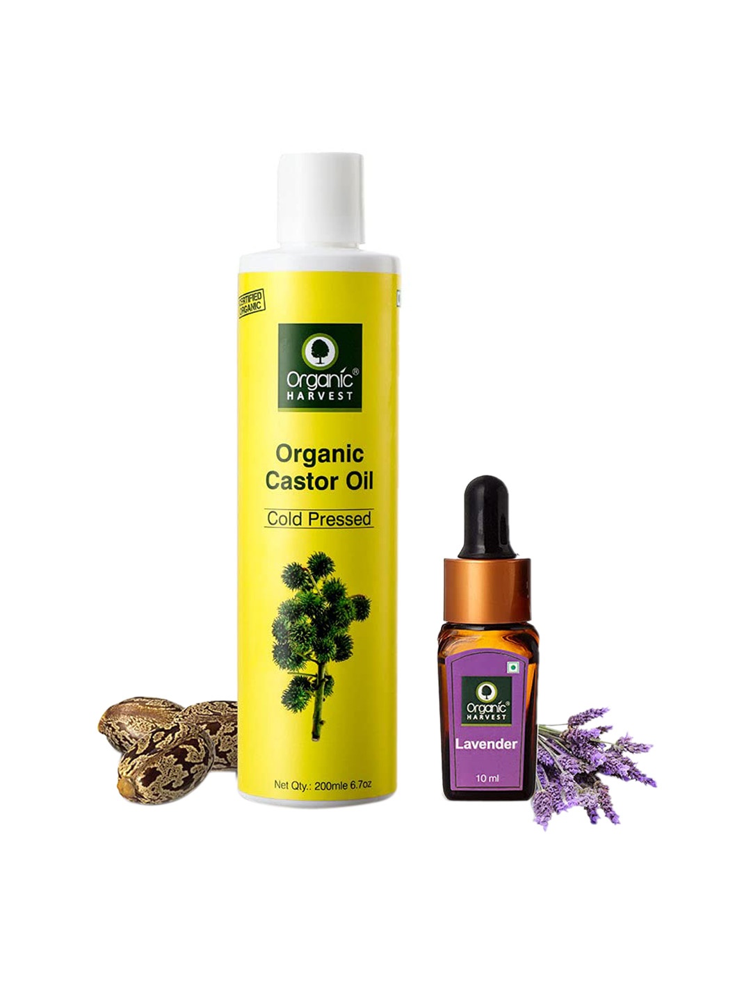 

Organic Harvest Set of Organic Cold Pressed Castor 200 ml & Lavender Oil 10 ml, Yellow