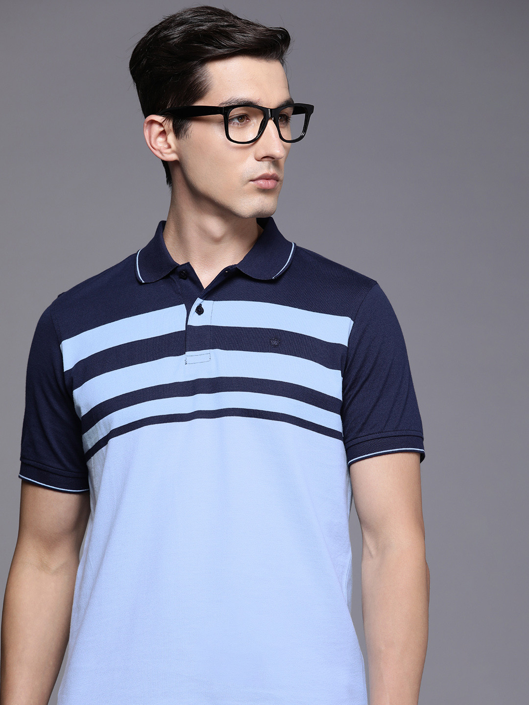 

Louis Philippe Men Navy Blue Striped Polo Collar Pure Cotton T-shirt