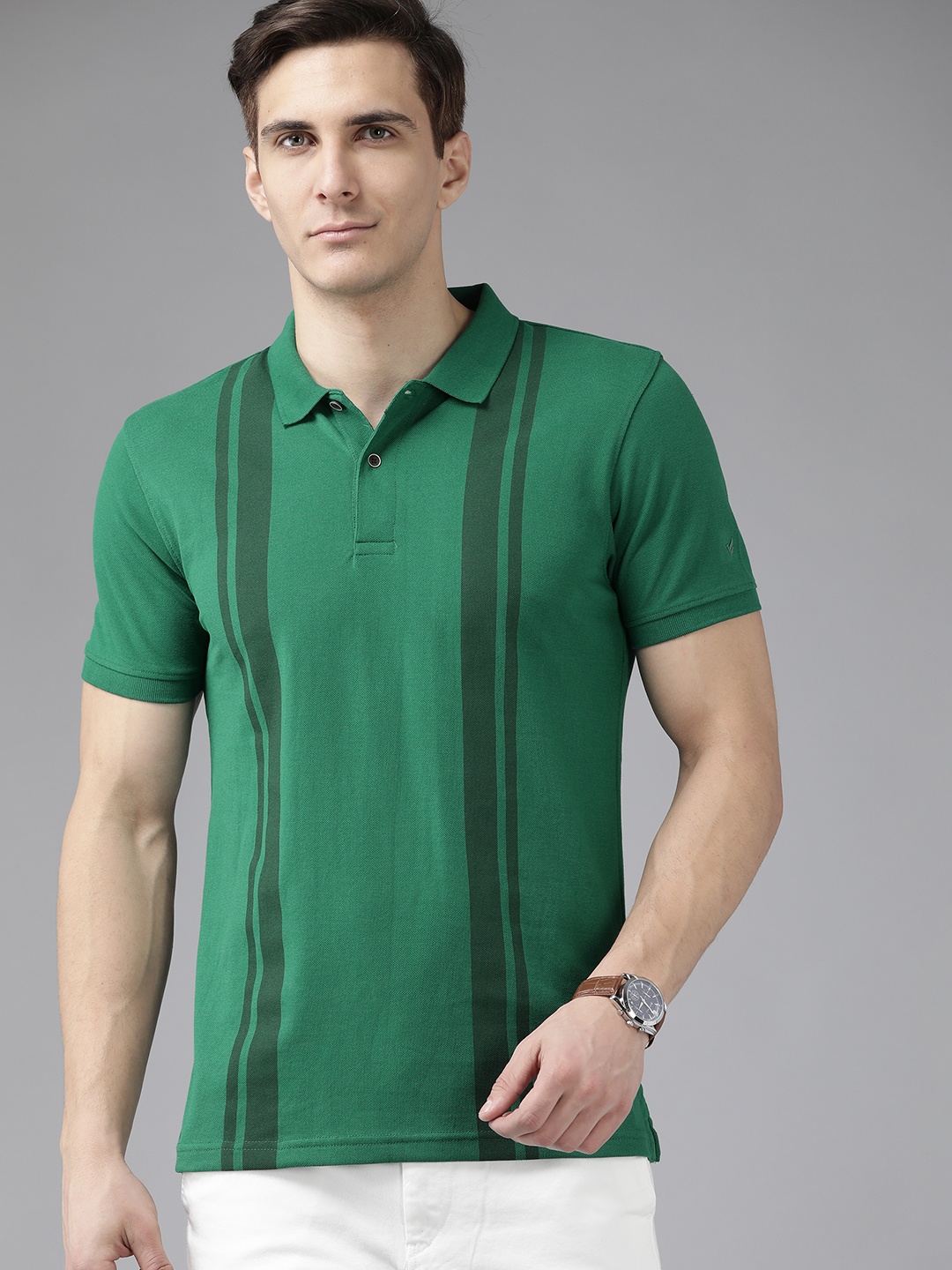 

Blackberrys Men Green Striped Polo Collar T-shirt