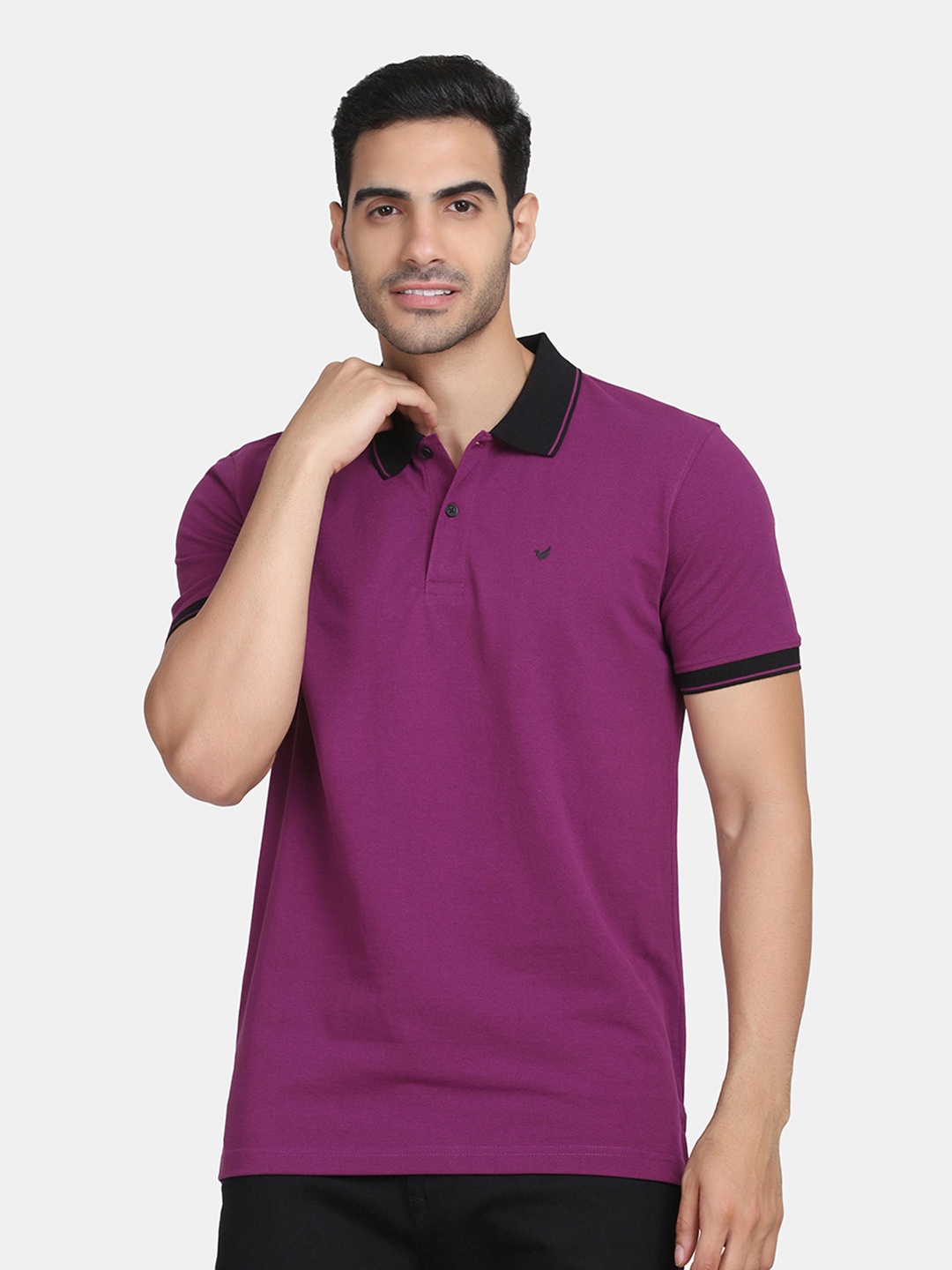 

Blackberrys Men Purple Polo Collar T-shirt