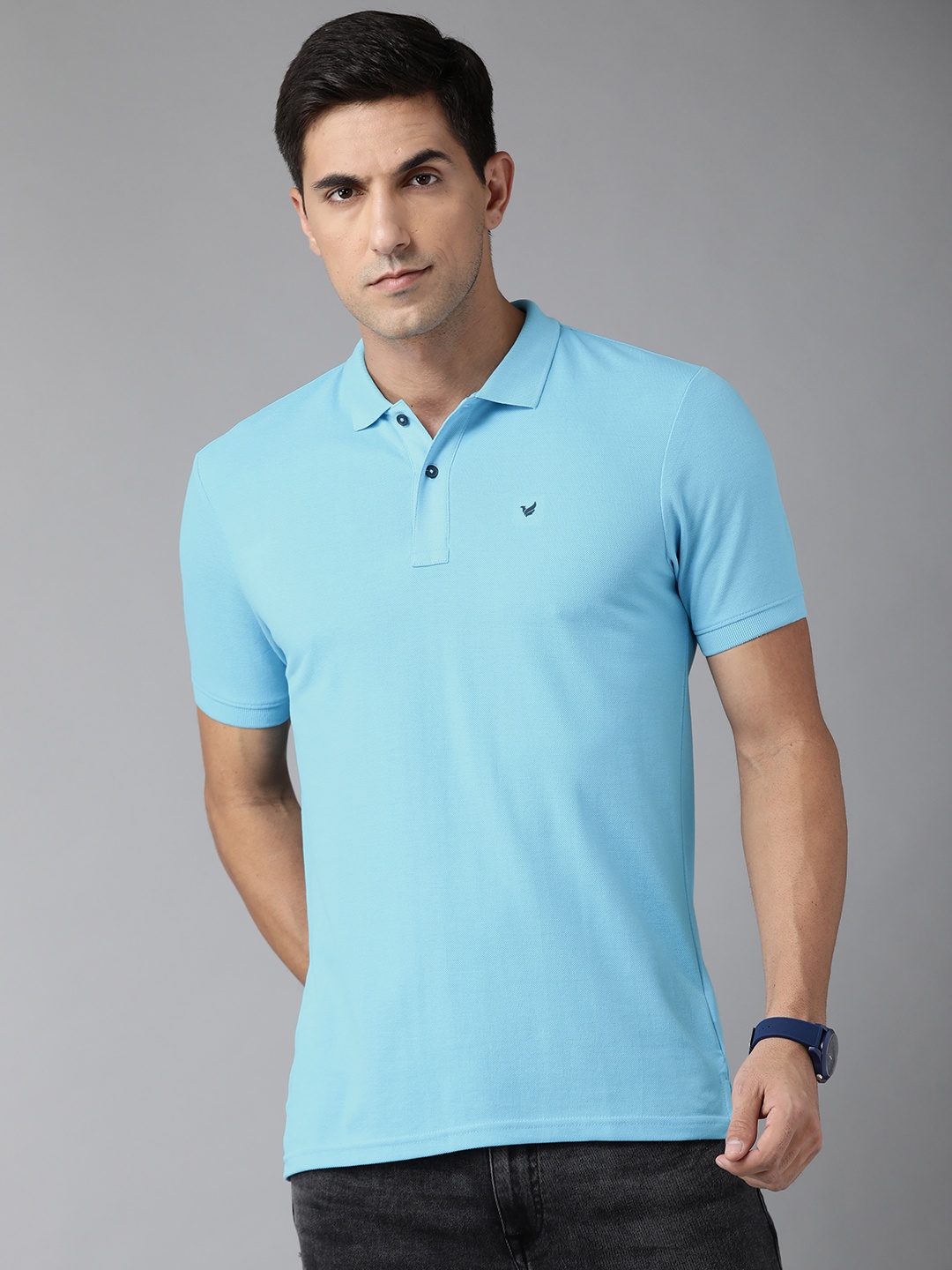 Blackberrys Men Blue Solid Polo Collar Knitted T-shirt