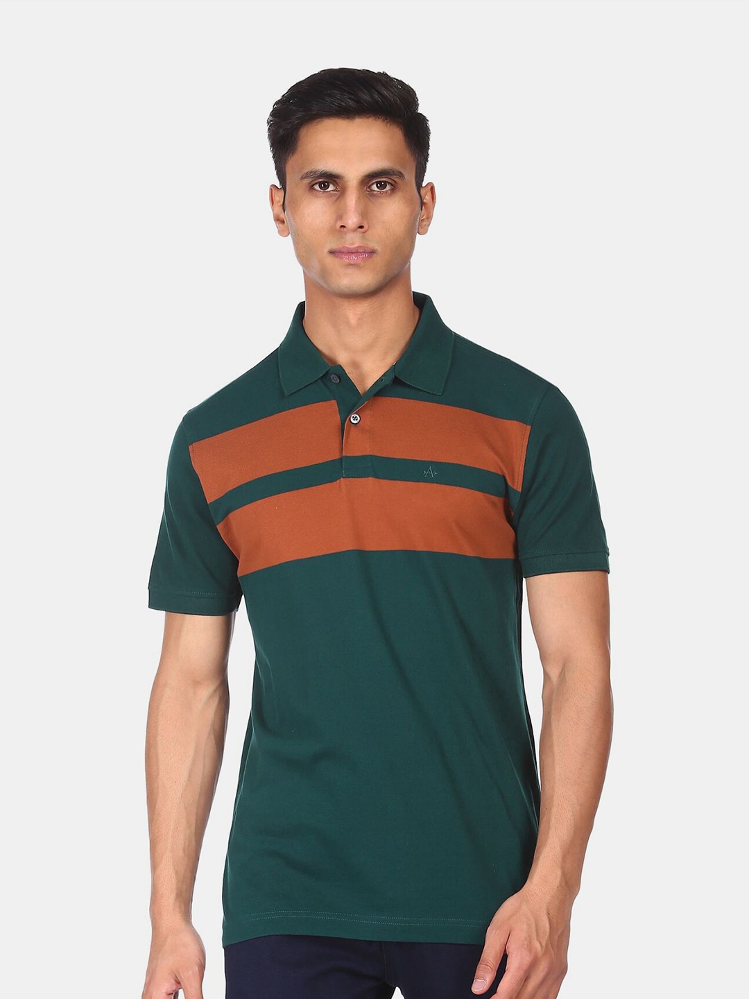 

Arrow Sport Men Green Colourblocked Polo Collar Cotton T-shirt