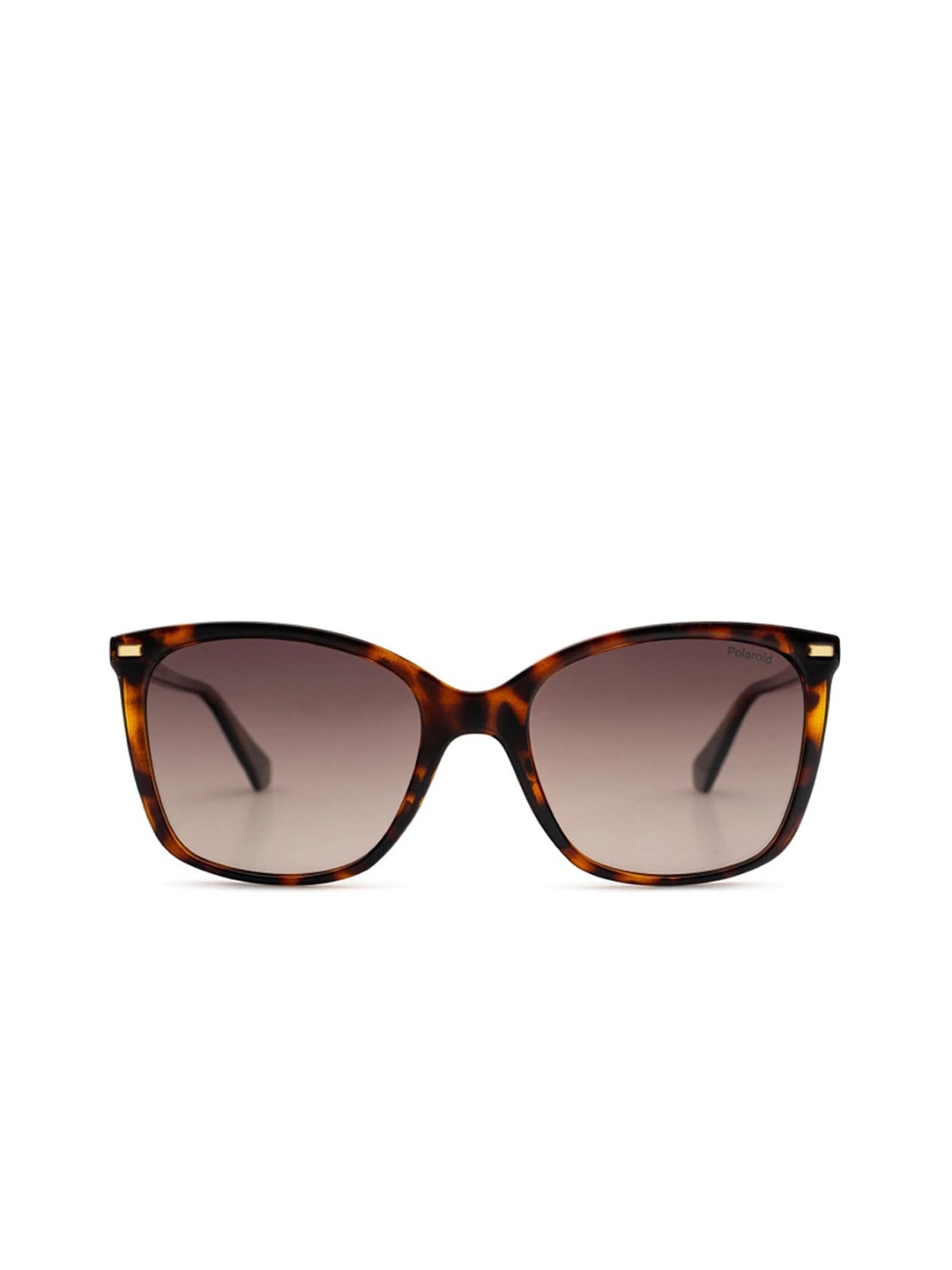 

Polaroid Women Brown Lens & Brown Butterfly Sunglasses with Polarised and UV Protected Lens