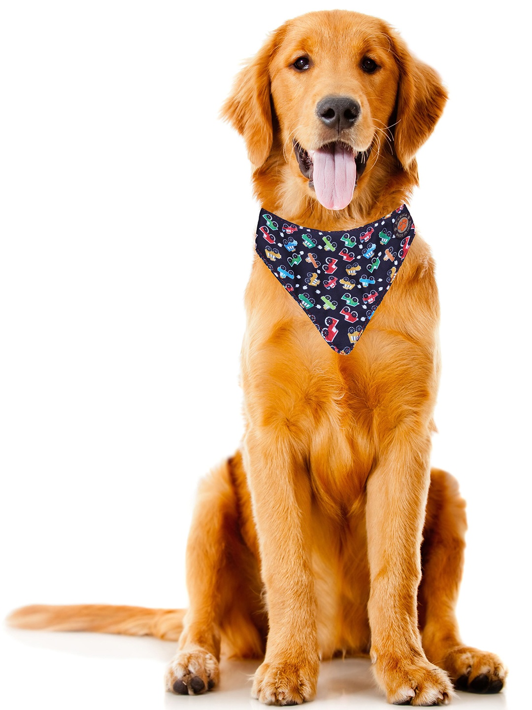 

Dchica Paws Navy Blue Printed Dog Collars, Black