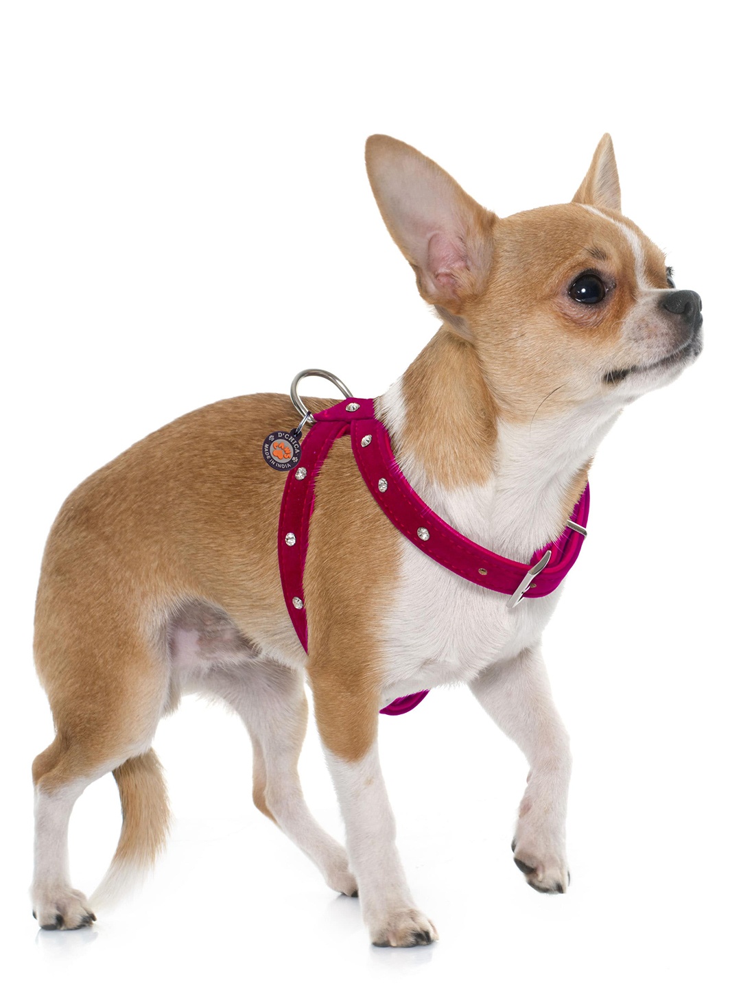 

Dchica Paws Pink Studded Solid Large Dog Harness