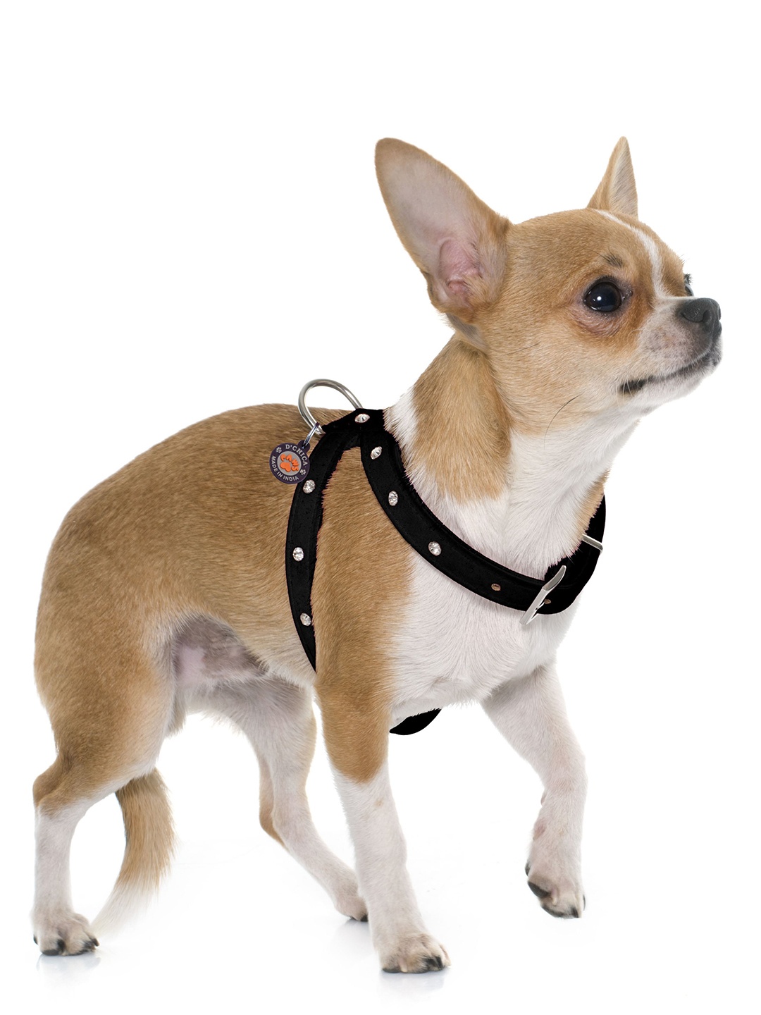 

Dchica Paws Black Solid Unisex Dog Studded Fancy Harness