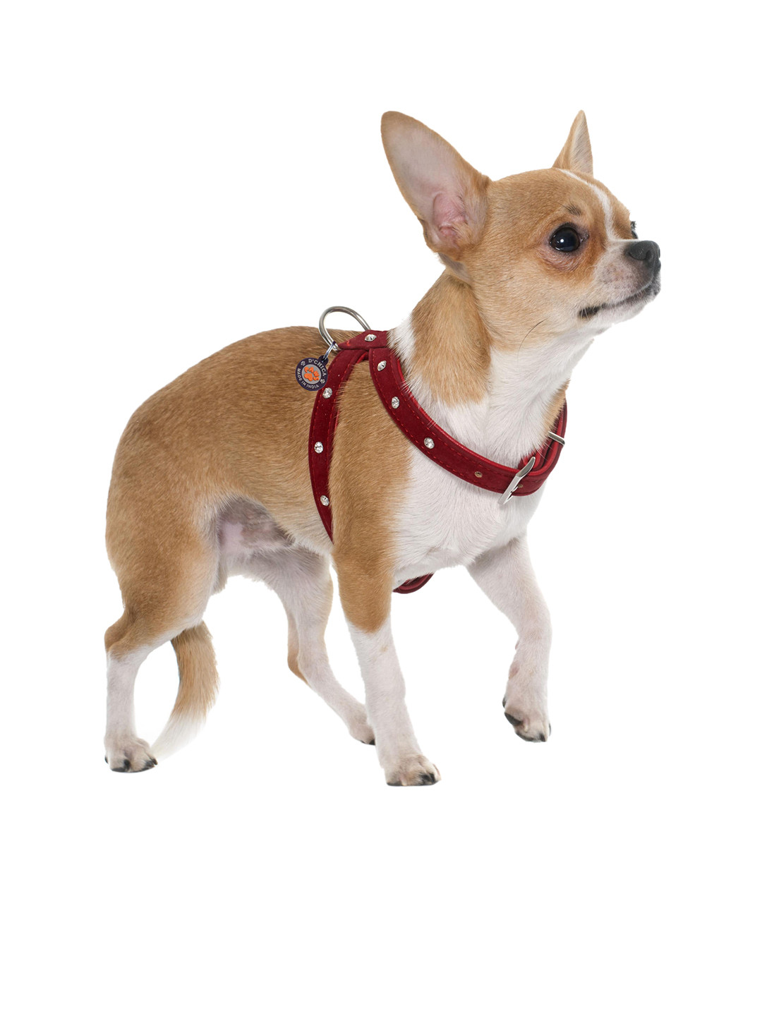 

Dchica Paws Red Solid Studded Fancy Dog Harnesses