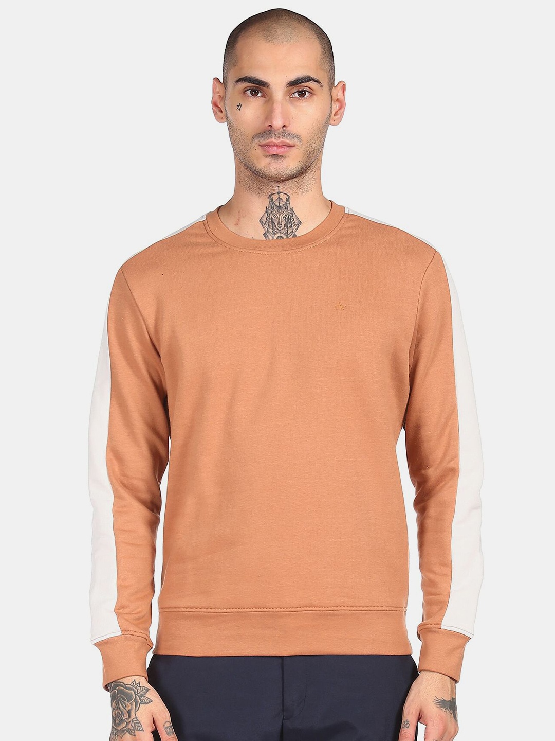 

Arrow Sport Men Brown Colourblocked Sweatshirt