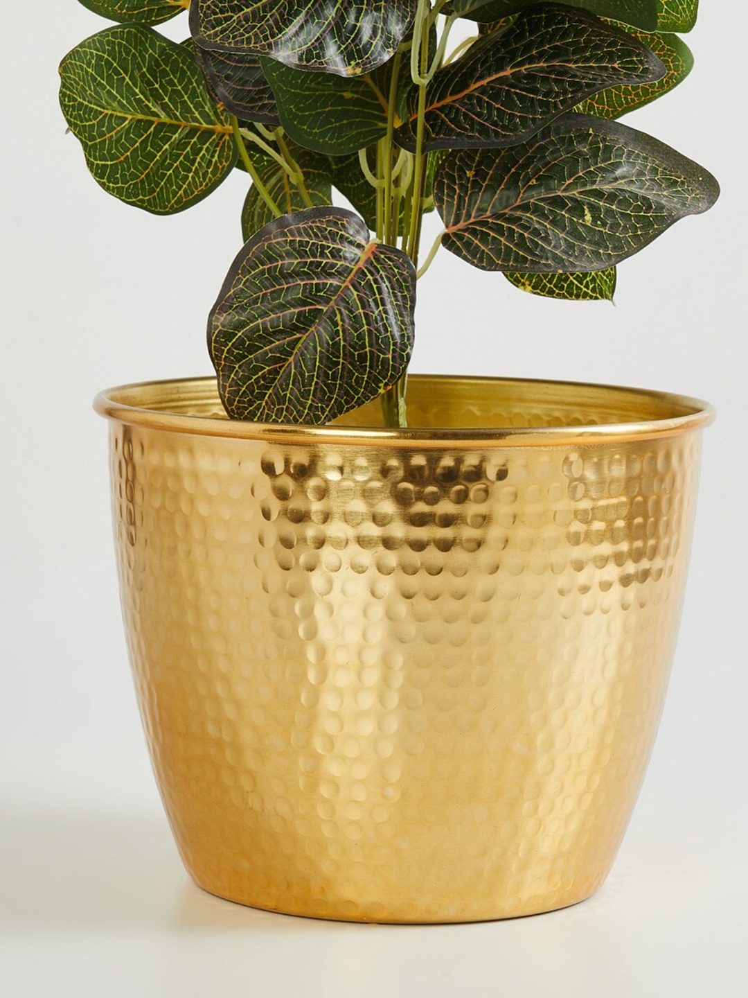 

Home Centre Corsica Eden Gold-Toned Medium Metal Hammered Floor Medium Planter