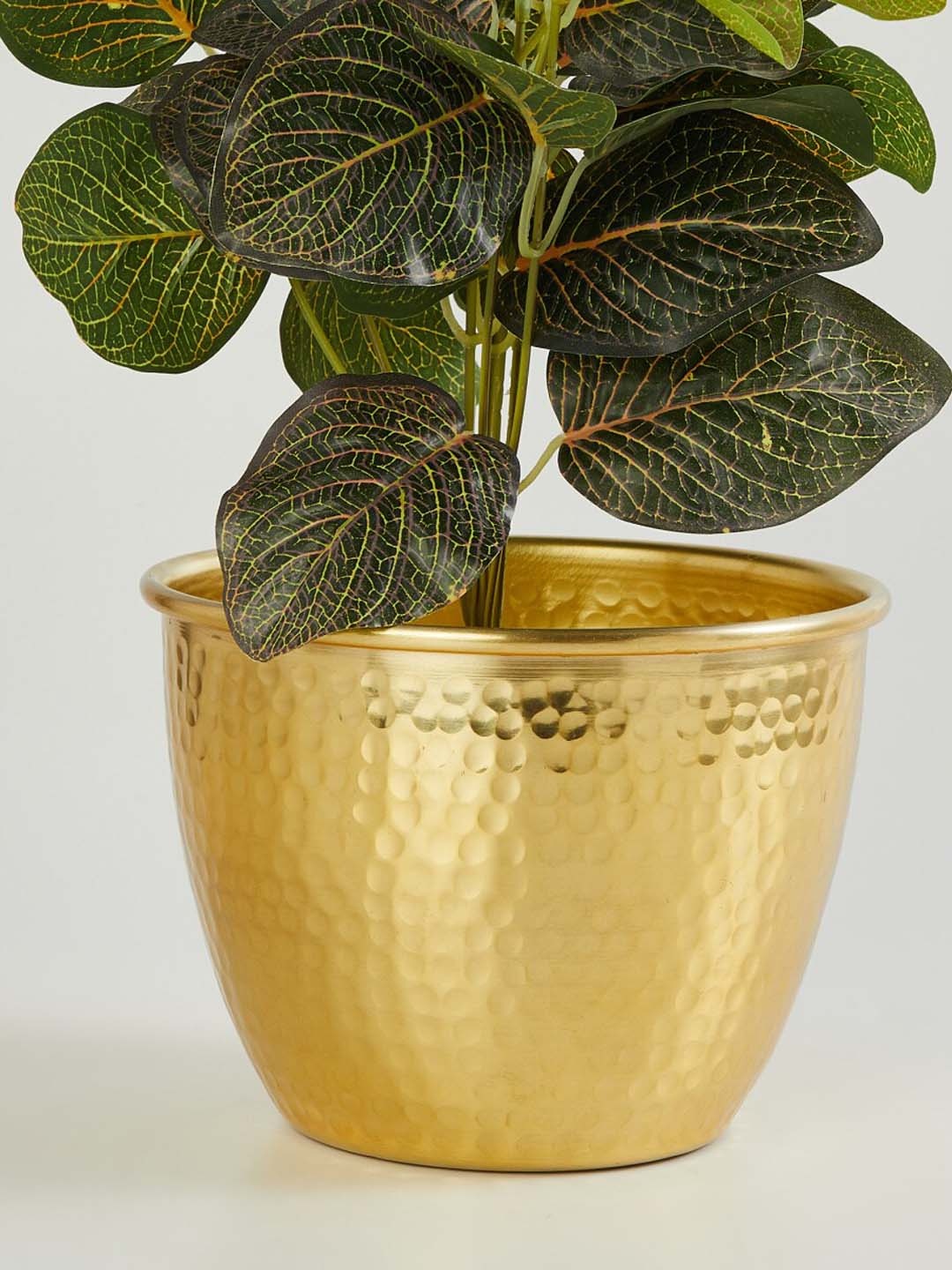 

Home Centre Gold-Toned Corsica Eden Textured Metal Small Planter