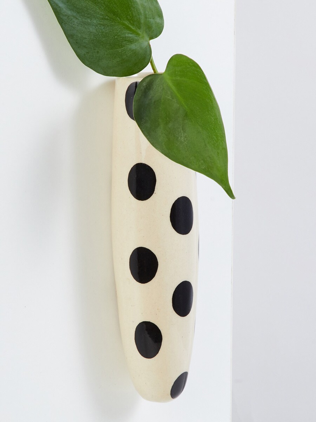 

Home Centre Beige Polka Dot Ceramic Planter