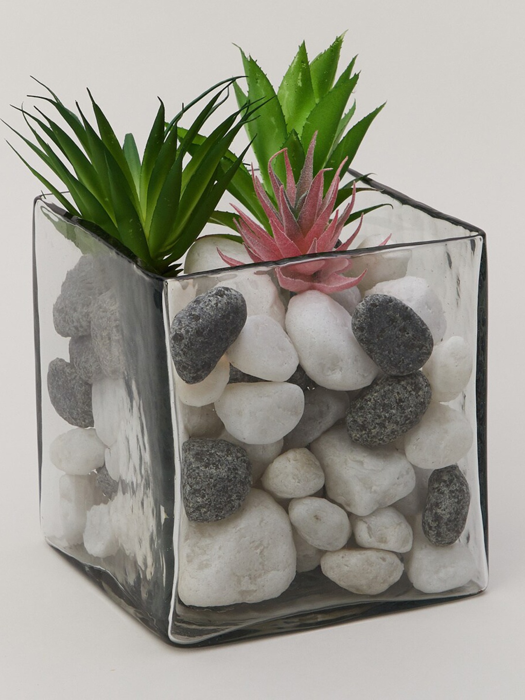 

Home Centre Contour Transparent Solid Glass Planter