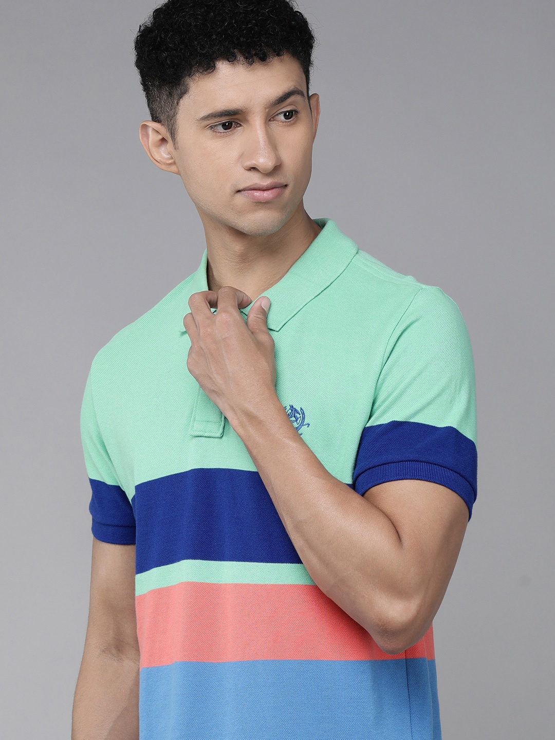 

U S Polo Assn Men Green & Blue Colourblocked Polo Collar Pure Cotton T-shirt
