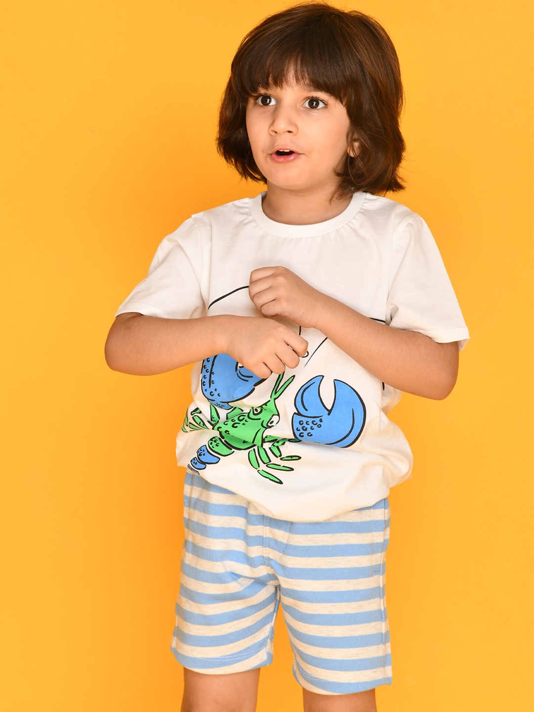 

Anthrilo Boys White & Blue Printed Pure Cotton T-shirt with Shorts